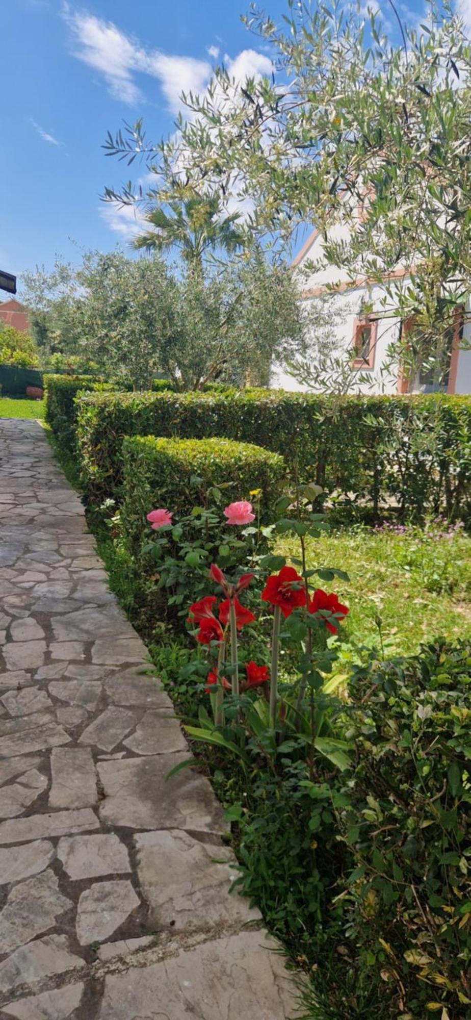 Corfu Studio 4U Roda (Corfu) Exterior foto